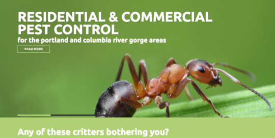 Residential & commercial pest control website design.