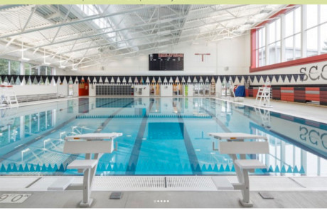 The homepage of a website with a swimming pool.