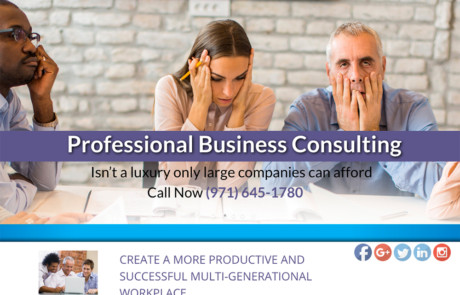 Website for Millennium professional business consulting.