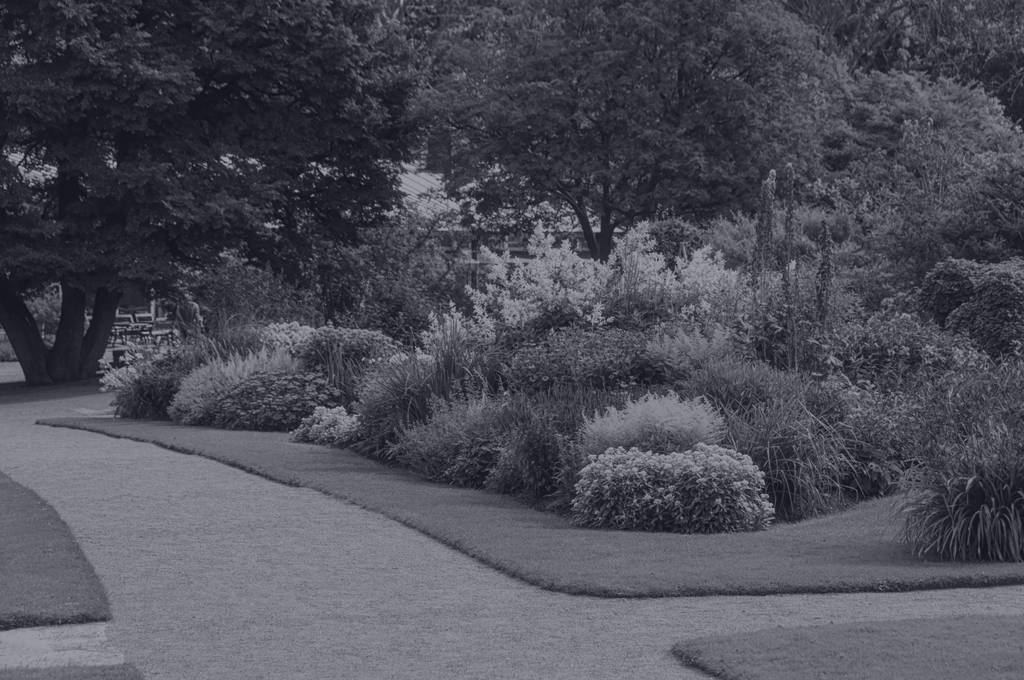 industry-landscaping4